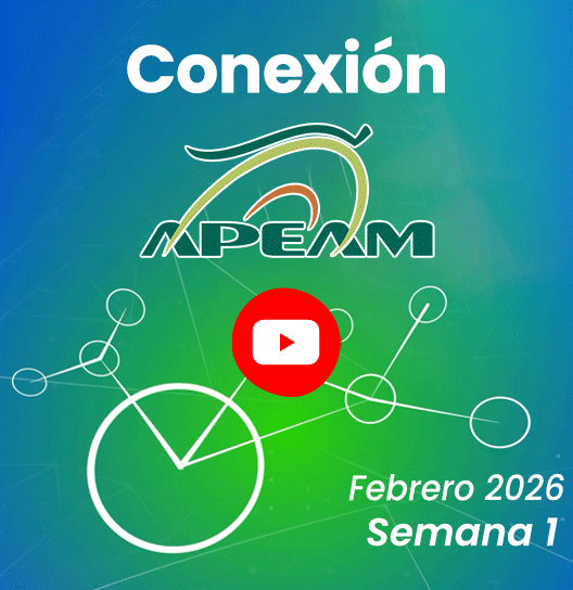 Conexión APEAM