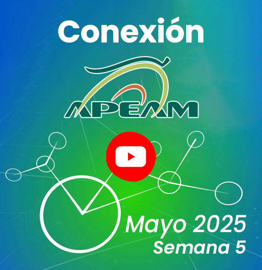 Conexión APEAM