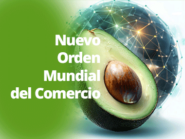 Noti-Comentarios